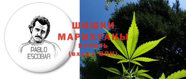 шишки Белоозёрский