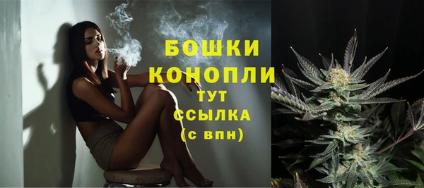 шишки Белоозёрский