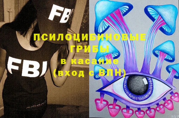 тгк Беломорск