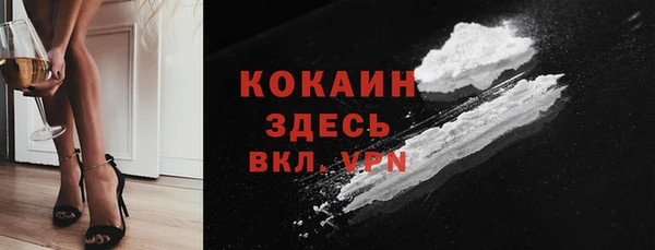 шишки Белоозёрский