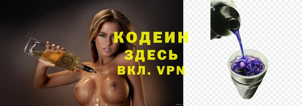 шишки Белоозёрский