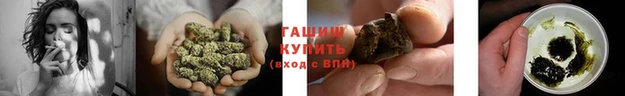 шишки Белоозёрский