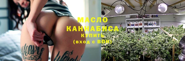 дмт Сатка