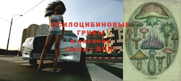 тгк Беломорск