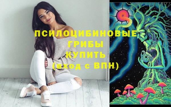бутират Белокуриха
