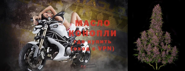 шишки Белоозёрский