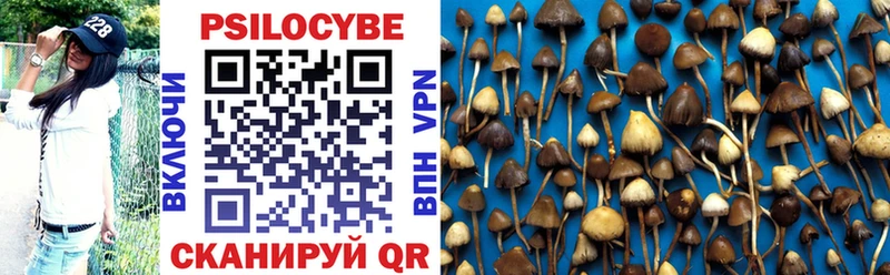 Галлюциногенные грибы Magic Shrooms  ОМГ ОМГ онион  Сердобск 
